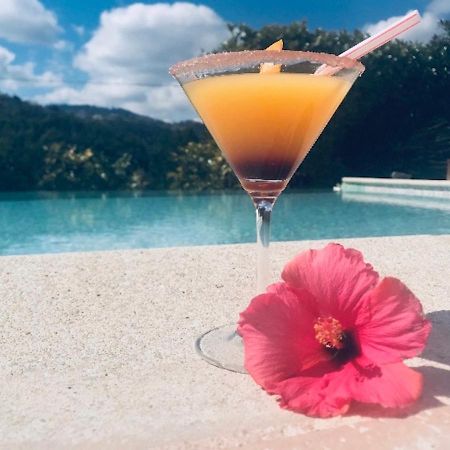 Villa Santa Rita Auribeau-sur-Siagne Екстериор снимка